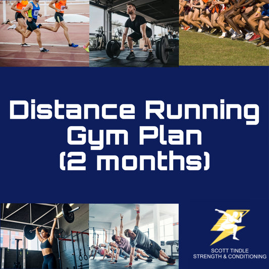 Distance Running Gym Plan (2 month)