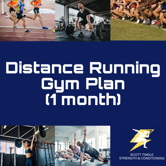 Distance Running Gym Plan (1 month)