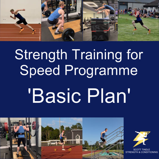 Basic Plan